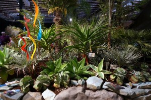 A Visit to the San Francisco Flower and Garden Show