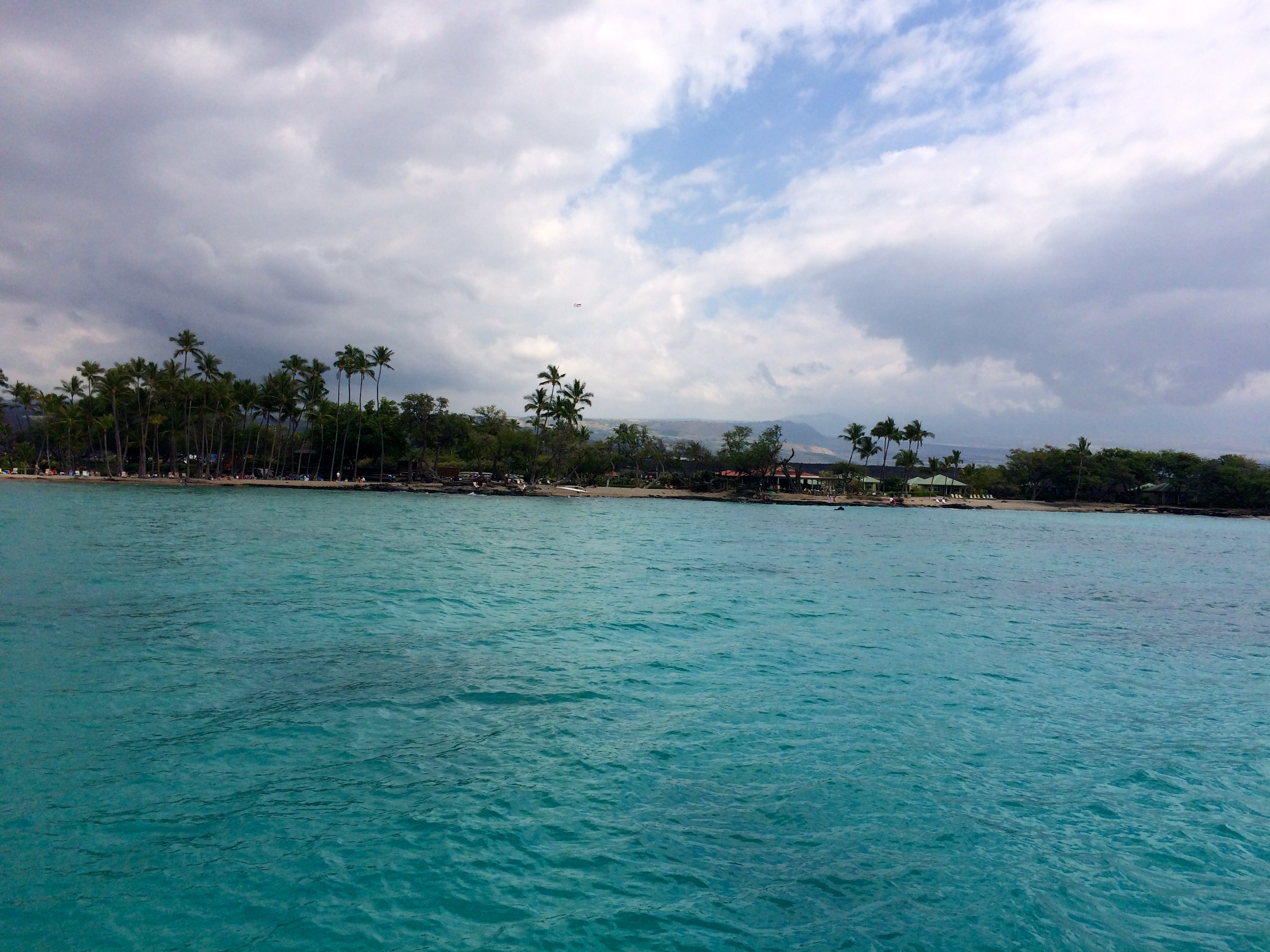 Hawaii Snorkel Trip