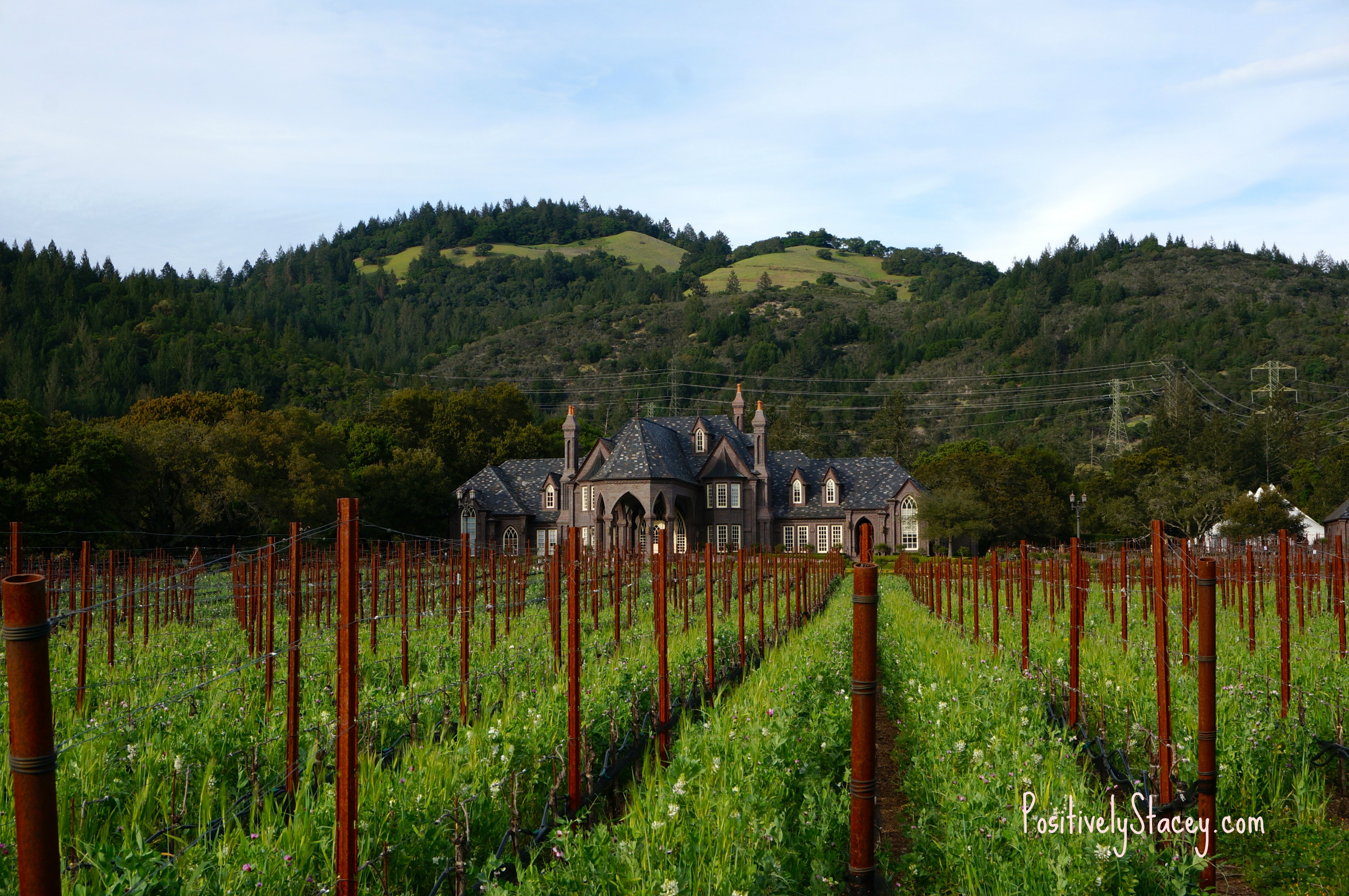 Ledson Winery and Vineyards in Sonoma County