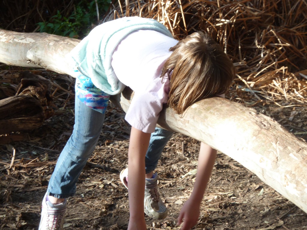 12 Ways to Prevent Summer Slide - Positively Stacey