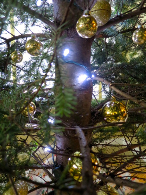 Christmas Tree Glow