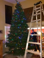 How to Make Your Christmas Tree Glow and How to Fix Broken Christmas Lights
