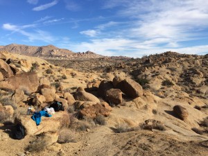 Hiking Joshua Tree National Park - Positively Stacey