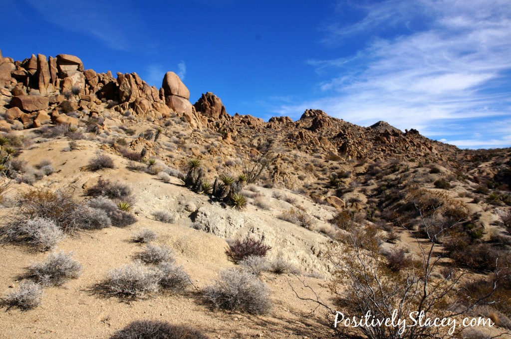 Hiking Joshua Tree National Park - Positively Stacey