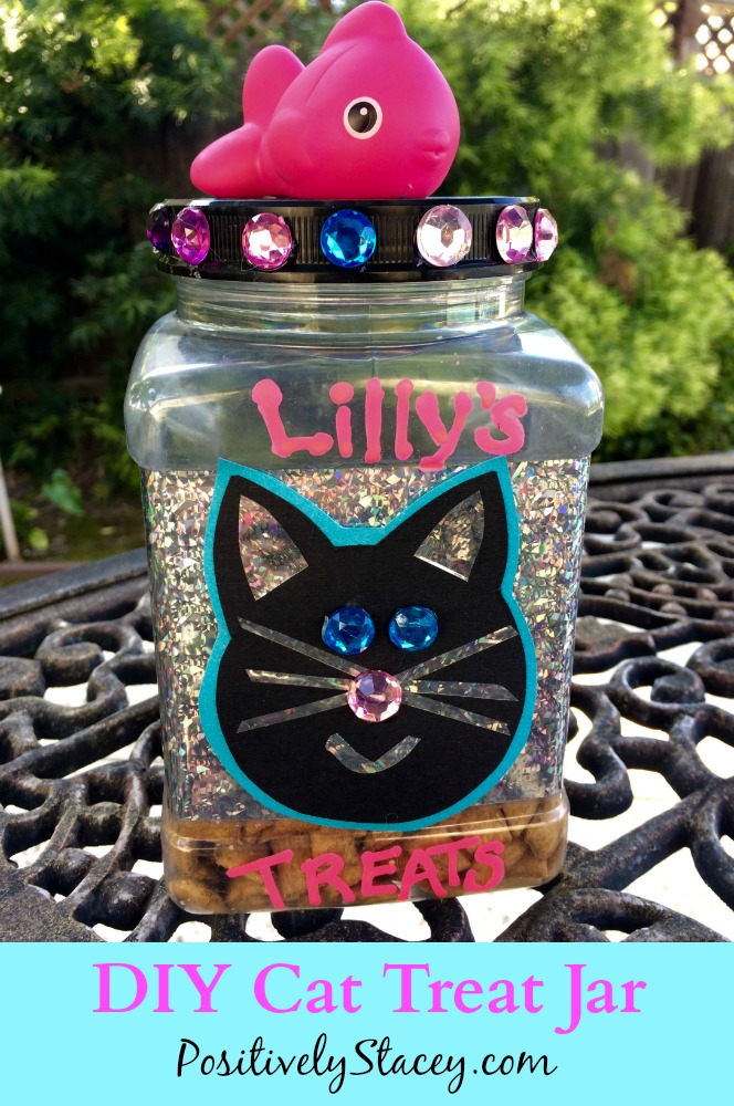 DIY Cat Treat Jar