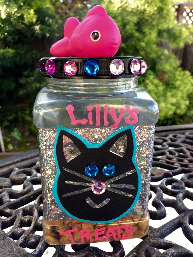 DIY Cat Treat Jar Positively Stacey