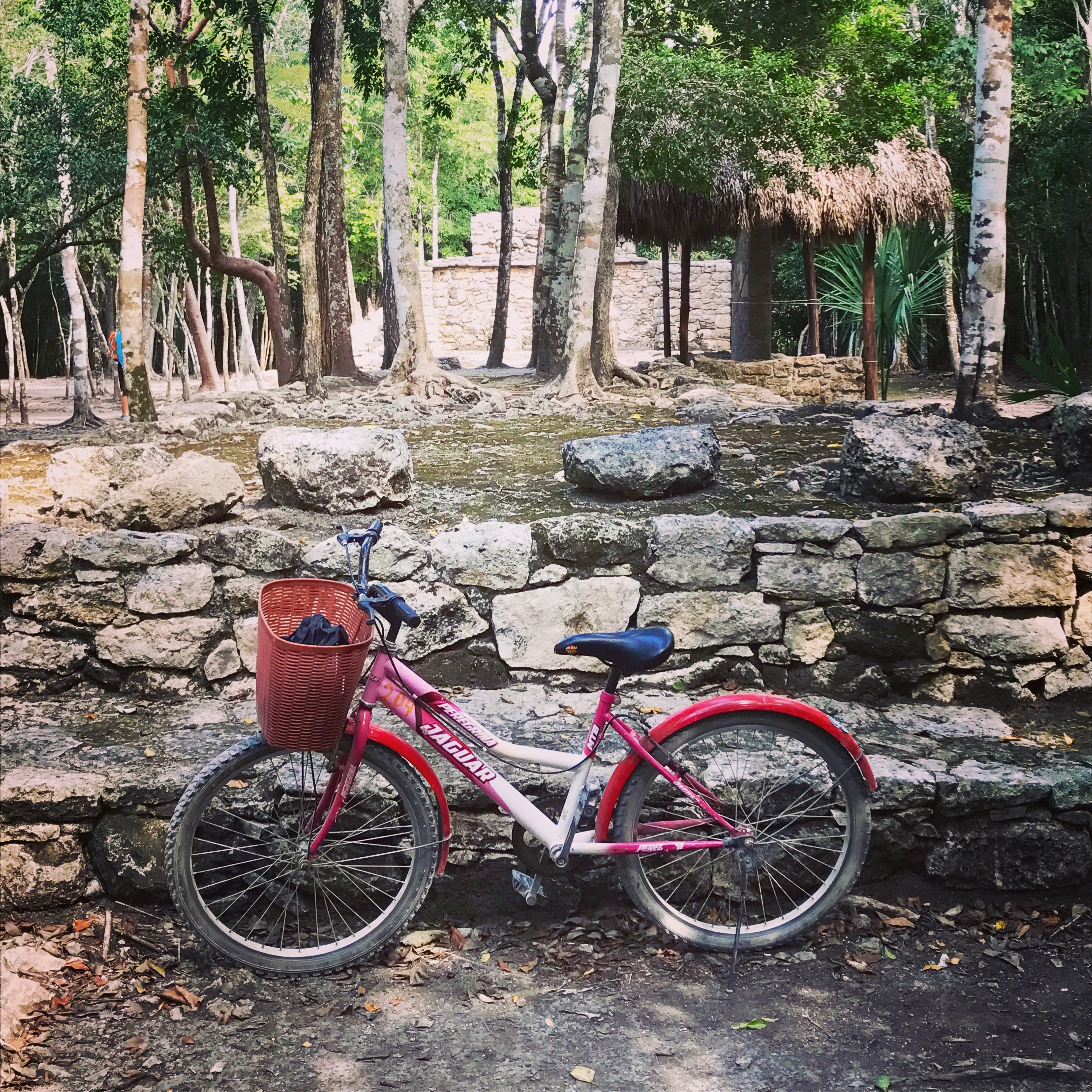 Exploring the Ancient Mayan Ruins of Coba