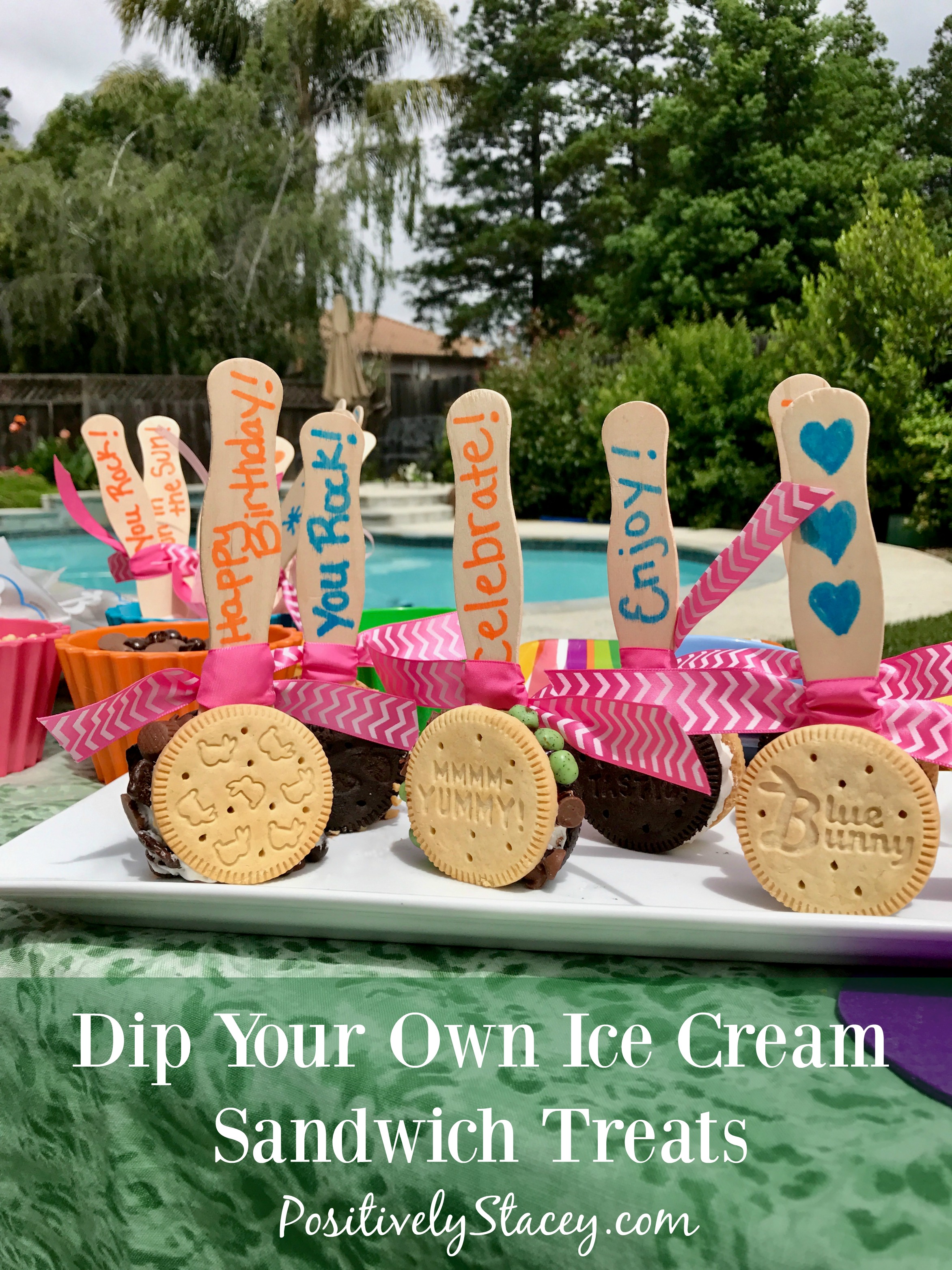 Dip Your Own Ice Cream Sandwich Treats