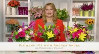 Flowers 101 with Andrea Ancel in Time for Mother’s Day