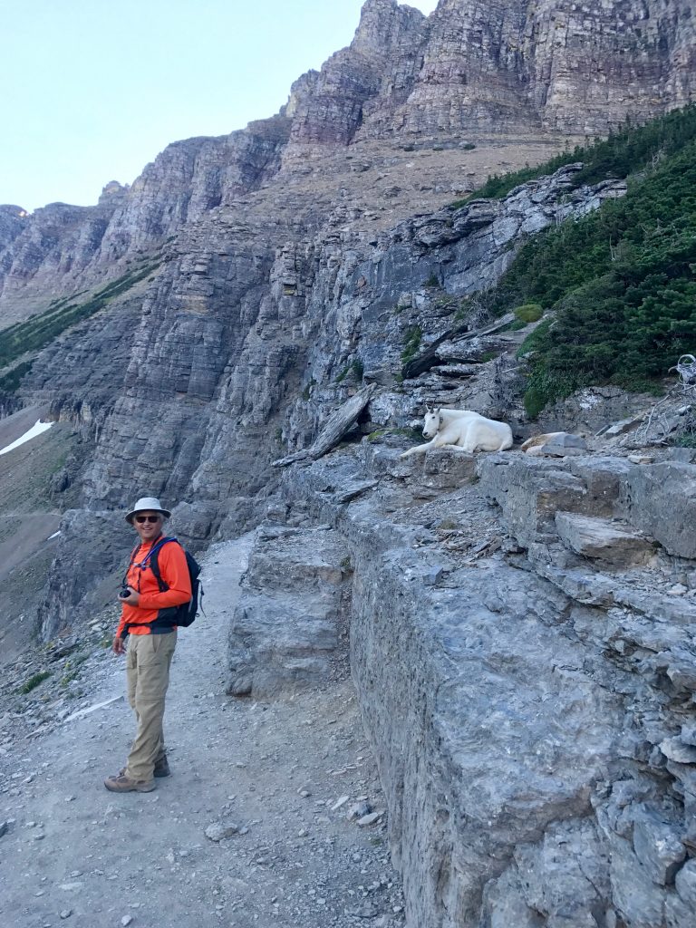 Hiking the Highline Loop in Glacier National Park Positively Stacey