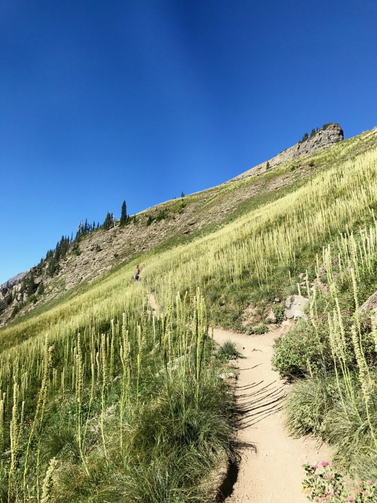 Hiking the Highline Loop in Glacier National Park Positively Stacey