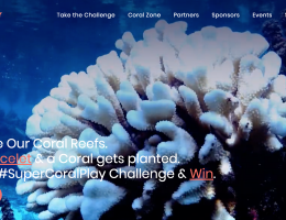 Helping the Health of Our Oceans #SuperCoralPlay
