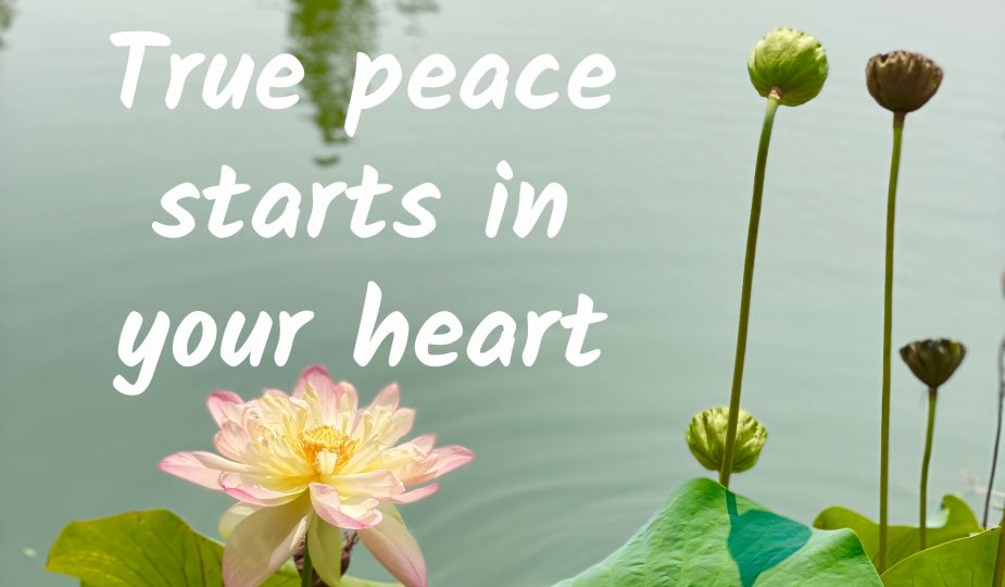 Finding Peace in Your Heart